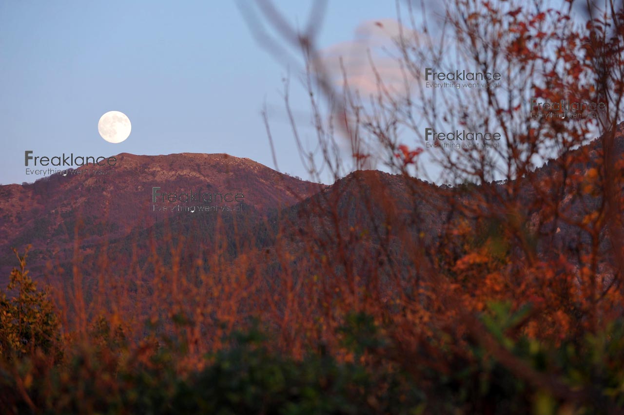 immagine delle colline del tigullio illuminate dagli ultimi raggi di sole con la luna piena